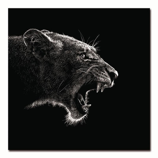 1 Piece Floater Frame Roaring Lioness Black and White Animal Acrylic Photography Wall Art 40 in. x 40 in. .
